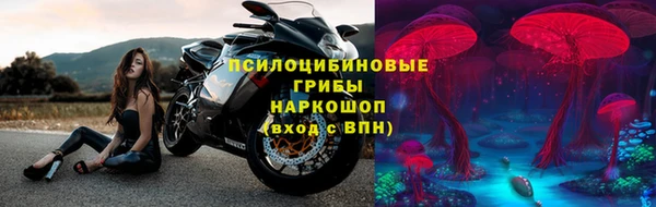 крисы Володарск