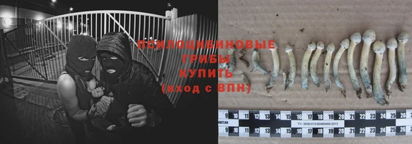 крисы Володарск