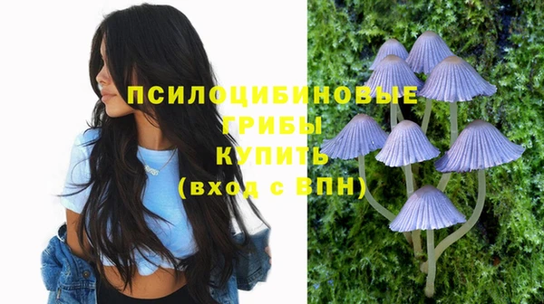 mix Слюдянка