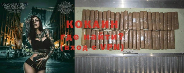 шишки Снежногорск