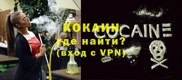 шишки Снежногорск