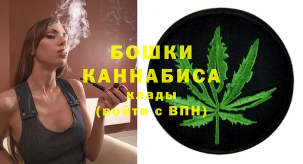 молекула духа Волоколамск